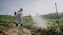 F